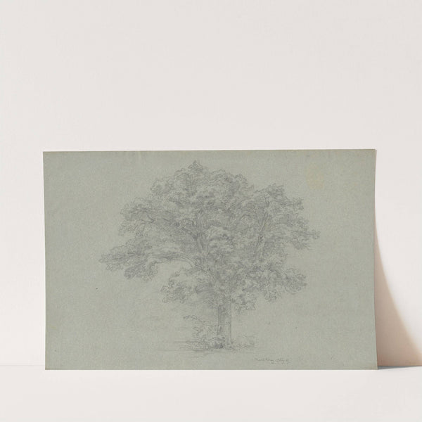 Tree by Ludwig Metz