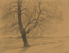 Tree (1887)