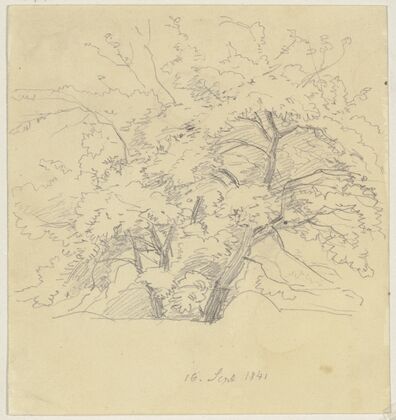 Tree (1841)