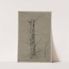 Tree (c. 1835–45) by Ludwig Ferdinand Schnorr von Carolsfeld