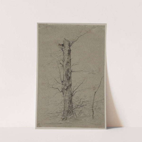 Tree (c. 1835–45) by Ludwig Ferdinand Schnorr von Carolsfeld