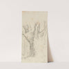Tree by David Charles Read
