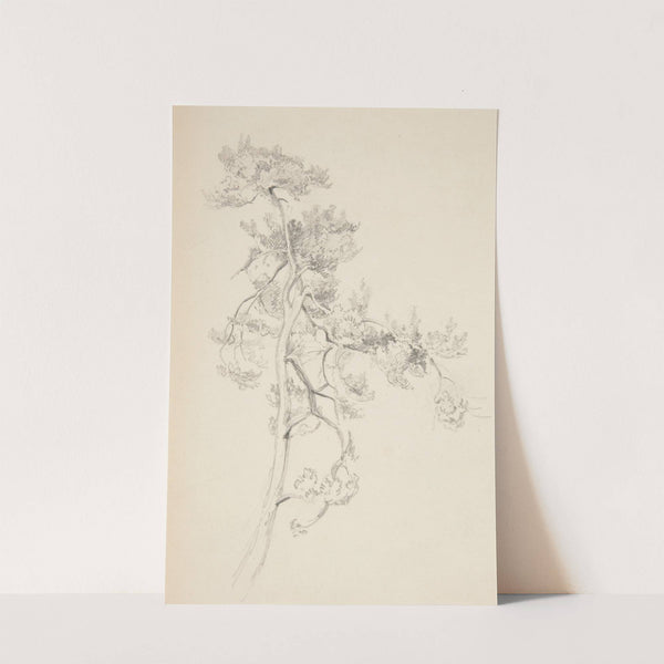 Tree and Foliage by John Singer Sargent