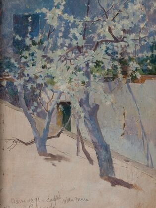 Tree, Capri