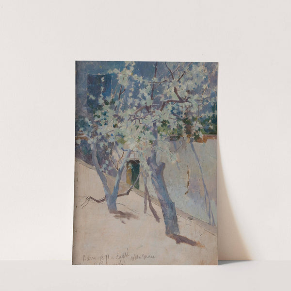Tree, Capri (1891) by George Randolph Barse
