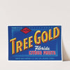 Tree Gold Florida Citrus Fruit Label (1930-1950)