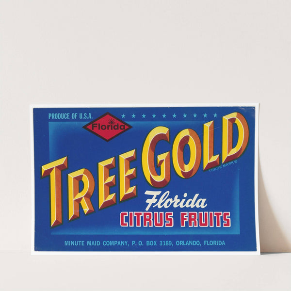 Tree Gold Florida Citrus Fruit Label (1930-1950)