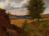 Tree In Field Landscape, Study