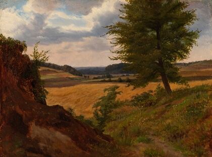 Tree In Field Landscape, Study