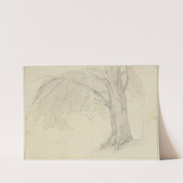 Tree in Hagenburg by Jakob Becker