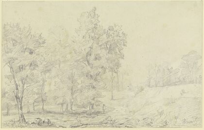 Tree landscape