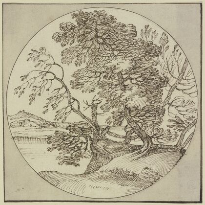 Tree section by the water