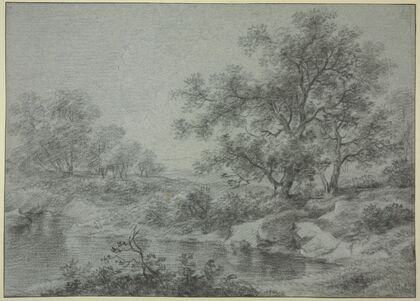 Tree section by the water