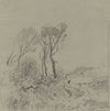 Tree Studies