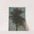 Tree Study (c. 1830–64) by Alexandre Calame