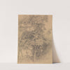 Tree Study by Sir David Wilkie