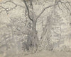 Tree Study