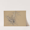 Tree Trunks by David Johnson