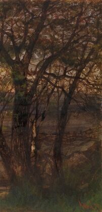 Trees