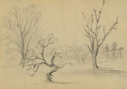 Trees