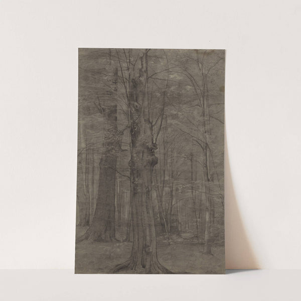 Trees by Leopold Bode