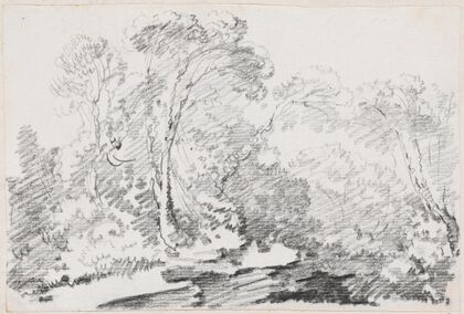 Trees