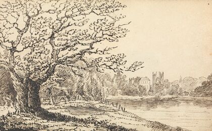 Trees Alongside a River with Buildings in the Distance