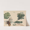 Trees and Foliage by Richard Pettigrew Leitch