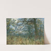 Trees and Undergrowth by William Fraser Garden
