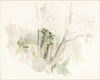 Trees at Beddington
