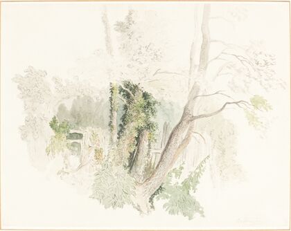 Trees at Beddington