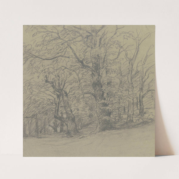 Trees at the edge of the forest by Jakob Maurer
