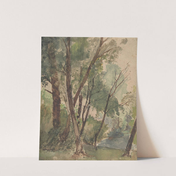 Trees Beside a Pond by Louis-Antoine-Léon Riesener