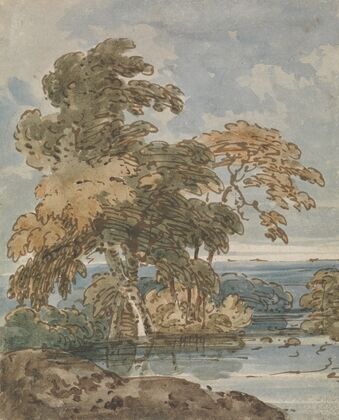 Trees by a River
