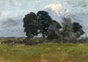 Trees in a Landscape