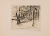 Trees in the Sun