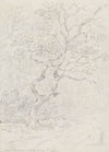 Trees, Near Lausanne