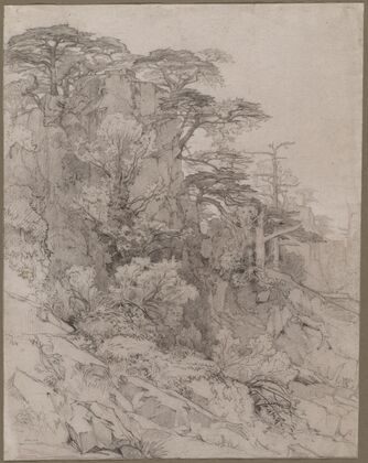 Trees of a Rocky Hillside (late 1800s)