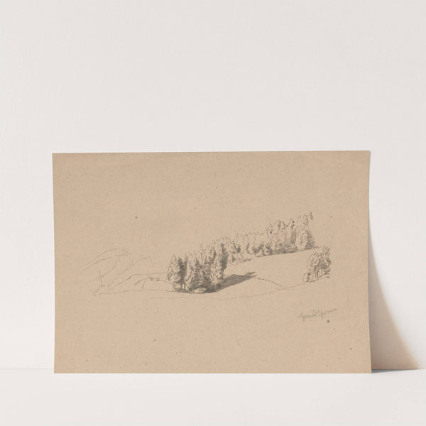 Trees on the Edge of a Forest (1870) by Hans Thoma