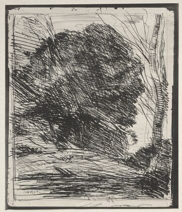Trees on the Mountain (1856)