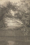 Trees Overhanging a Lake