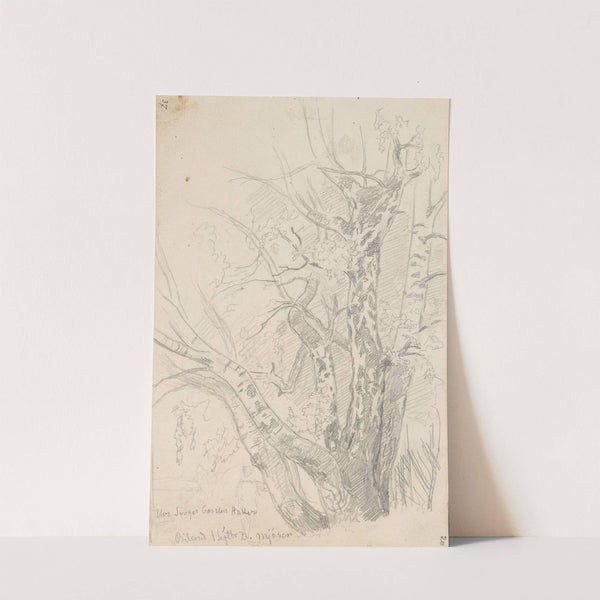 Trestudie, Billerud by Hans Gude