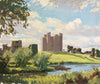 Trim Castle, County Meath