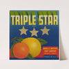 Triple Star Brand Citrus Label (1930-1950)