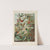 Trochilidae. - Kolibris by Ernst Haeckel