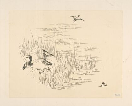 Trois canards et un quatrième qui vole.
