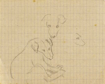 Trois études de chien