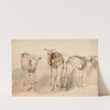 Trois études de squelettes de moutons (1834) by Jacques-Raymond Brascassat