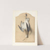 Trompe l&#039;Oeil - A Curlew Hanging from a Nail by Édouard Traviès