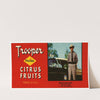 Trooper Florida Citrus Fruit Label (1930-1950)